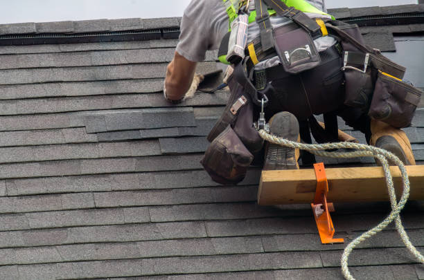 Best Roof Gutter Cleaning  in Wickes, AR