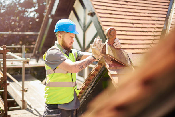 Best Roof Repair Specialists  in Wickes, AR
