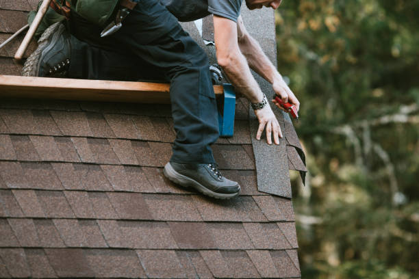 Best Shingle Roofing Installation  in Wickes, AR
